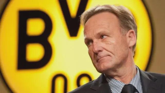 伦敦奥运马术冠军两匹传奇坐骑同日安乐死 伴随骑手共创20年辉煌岁月（陪伴骑手辉煌二十年的伦敦奥运马术冠军两大名驹同日安乐离世）